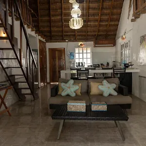 https://casa-playa-ocean-front.quintano-roohotels.com